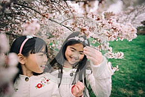 Two young asian girls under cherry blossom tree in spring