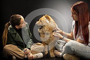 Two young, beautiful girls are having fun with a chow chow dog