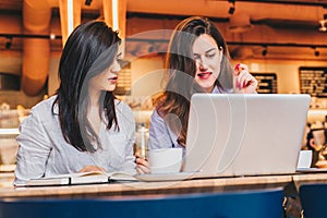 Two young businesswomen sitting in cafe at table and using laptop, working, blogging. Girls are looking at monitor