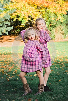 Two Young Caucasian Sisters Strike a Pose in Matching Pink Flannel Dresses