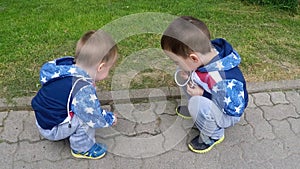Two young children, boys sit on the sidewalk in the summer and consider the life of insects, ants, the concept of children`s
