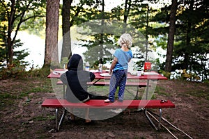 Two Young Children and Pet Dog Having Picnic Outside at Campground Overlooking Lake in Woods