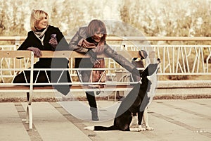 Two young fashion women and a dog