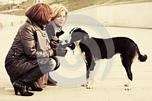 Two young fashion women and a dog on city street