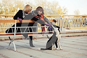 Two young fashion women and a dog outdoor