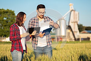 Two young female and male agronomists or farmers inspecting wheat fields before the harvest photo