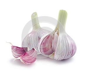 Two young garlic heads and cloves on white background
