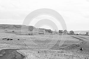 Two young girls small figures with backpacks on a rural road. Horse farm pasture with mare and foal.Black and white photo