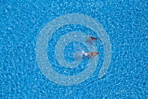 Two young girls swims in the swimming pool, view from above