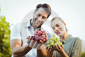 Two young happy vintners holding grapes photo