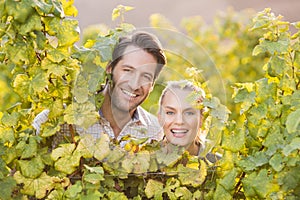 Two young happy vintners looking at camera from behind grape plants photo