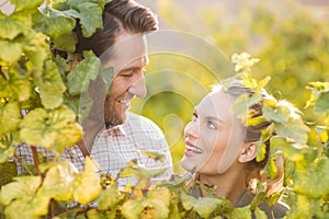 Two young happy vintners looking up from behind grape plants photo