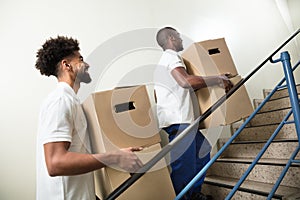 Two Young Male Worker Holding Cardboard Boxes