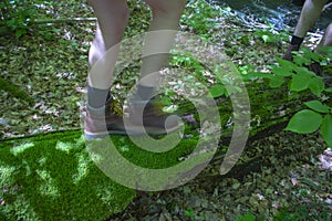 Two young men in books nd shorts in motion stating to cross over a creek with a fallen tree trunk