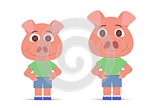 two young pink pigs in shorts and shirts stand isolated on white background. symbol of the year. flat style cartoon