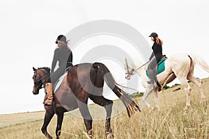 Two young pretty girls riding a horses on a field. They loves animals andhorseback riding