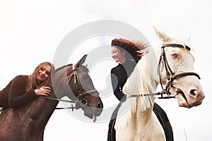 Two young pretty girls riding a horses on a field. They loves animals andhorseback riding