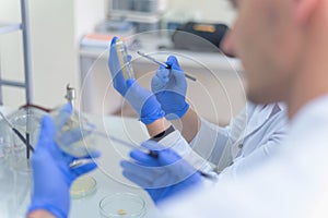 Two Young scientists working  in a laboratory and doing research, microbiological analysis, medicine