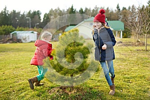 Two young sisters having fun together on beautiful spring day. Active family leisure with kids. Family fun outdoors