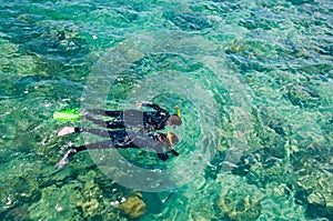 Snorkelers, Great Barrier Reef, Australia photo