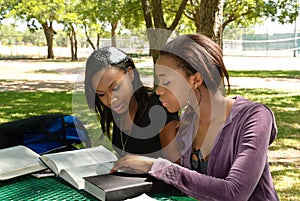 Two young students study at the park