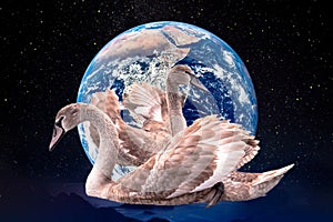 Save the planet, conceptual collage. Animals from IUCN Red. photo