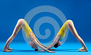 Two young women doing yoga asana Downward Facing Dog