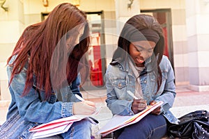 Two young women study on a bench