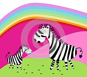 Two zebra