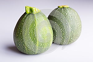 Two Zucchini Rondini on white background