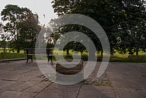 The Tyburn in York was the former site of the gallows in the city