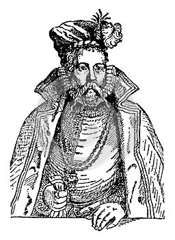 Tycho Brahe, vintage illustration