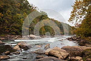 Tygart Valley River surrounded by trees at daylight in the Valley Falls State Park, West Virginia