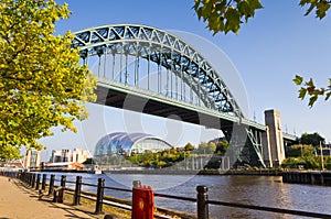 Tyne bridge framed with leaves