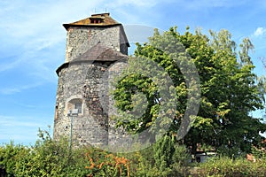 Tynec nad Sazavou castle