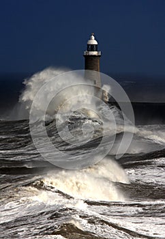 Tynemouth Pier photo