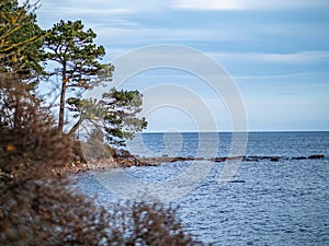 Tyninghame Beach and nature reserve, East Lothian, Scotland