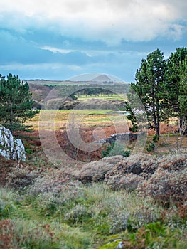 Tyninghame Beach and nature reserve, East Lothian, Scotland