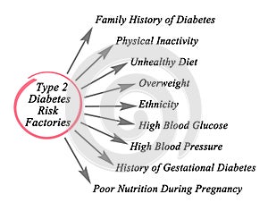 Type 2 Diabetes Risk Factories