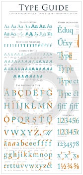 Type anatomy guide