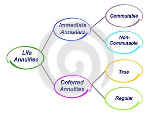 Type of Life Annuities photo