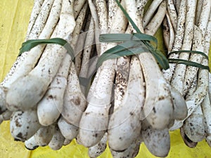 Type of mashroom tribe market bastar chhatisgarh india