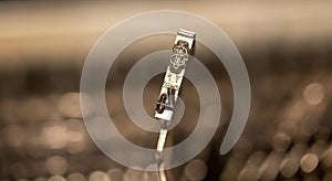 Typebar of a typewriter