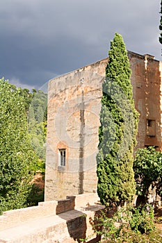 Types of Alhambra