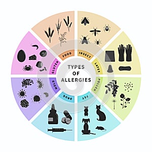 Types of allergies infographics design  illustration. Animal hair, latex, drugs, insect, food, gluten, pollen allergy. photo