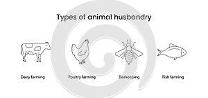 Types of animal husbandry line vector icon cow, chicken, bee and fish.