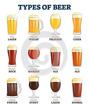 Types of beer vector illustration. Alcoholic beverage menu collection set. photo