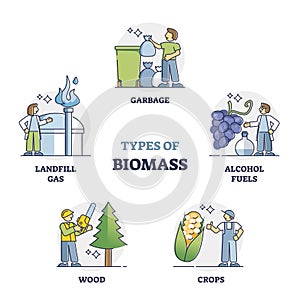 Types of biomass as natural resource for alternative power outline collection