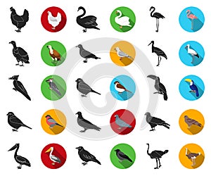 Types of birds black,flat icons in set collection for design. Home and wild bird vector symbol stock web illustration.