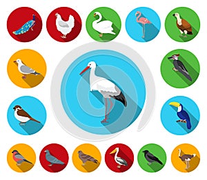 Types of birds flat icons in set collection for design. Home and wild bird vector symbol stock web illustration.